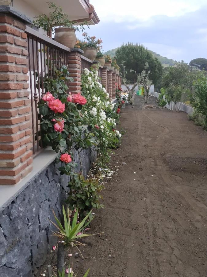 尼科洛西Etna Casa Del Sole住宿加早餐旅馆 外观 照片