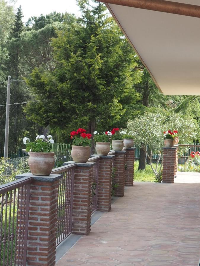尼科洛西Etna Casa Del Sole住宿加早餐旅馆 外观 照片